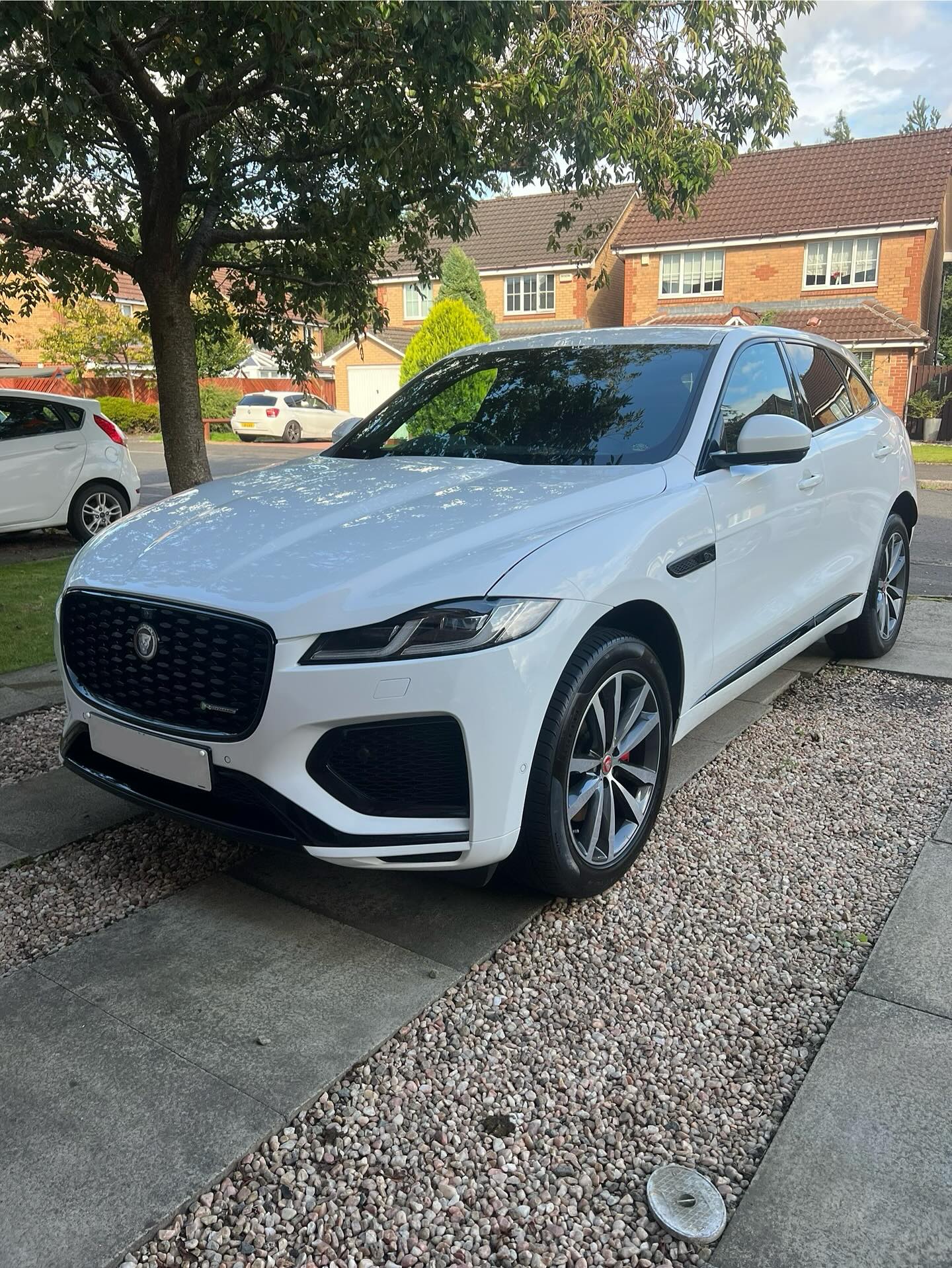 Gleamin Detailing work example 14